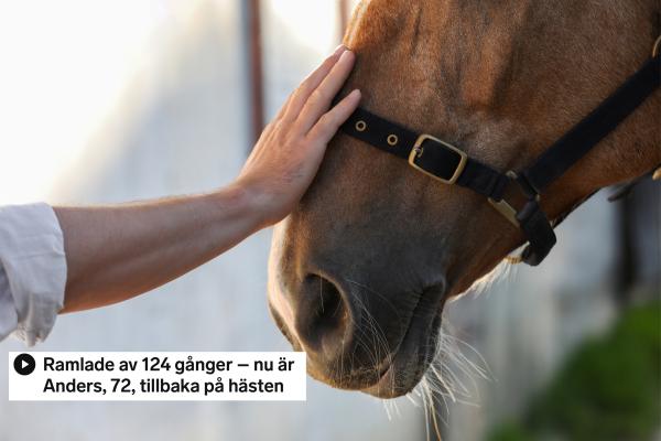 Arkivfoto: Adobe stock