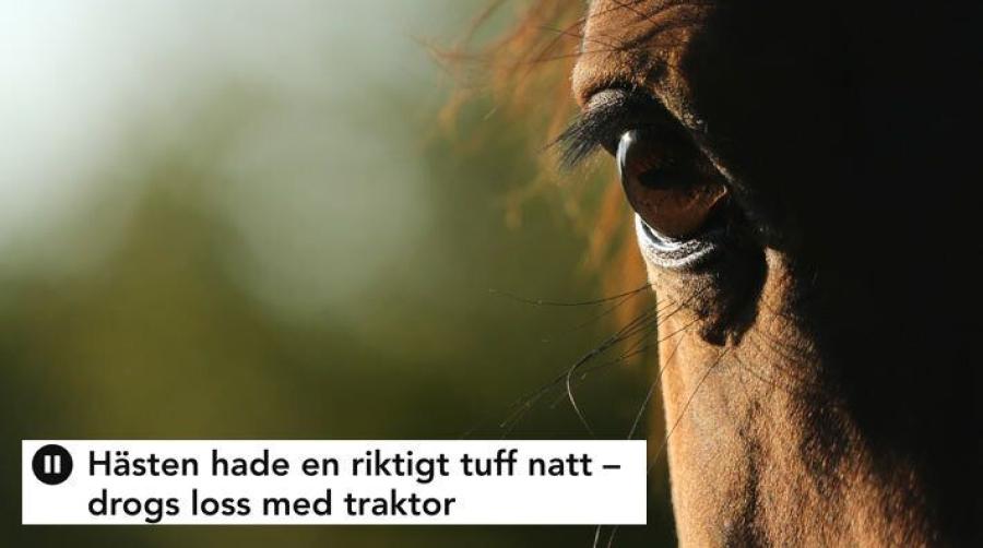 Foto: Adobe Stock