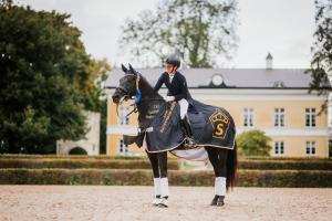 2025 års sjuårsvinnare var Vidar med Anna Svanberg på ryggen. Foto: Ida Lindemann