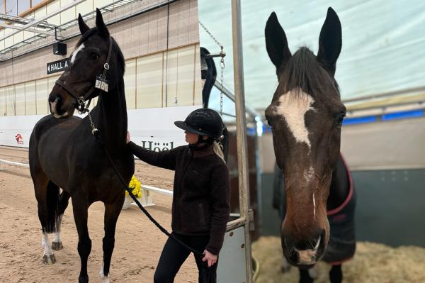 Emmie Bengtsson med sin hjärtehäst Ginger. Foto: Privat
