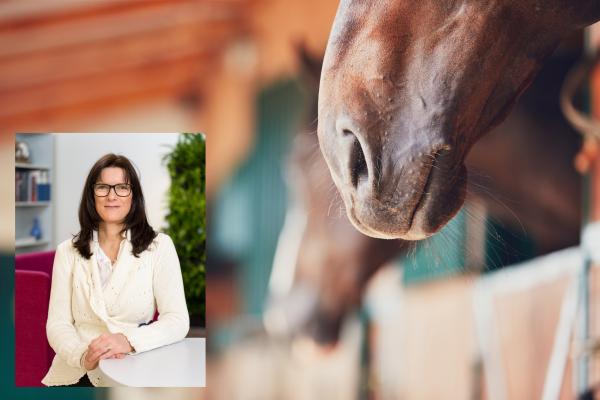 Foto: Göran Ekeberg/AddLight och Adobe stock