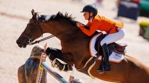 Arkivfoto: Tomas Holcbecher