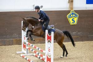 A Magic Twist under bruksprovet 2025. Foto: Roland Thunholm