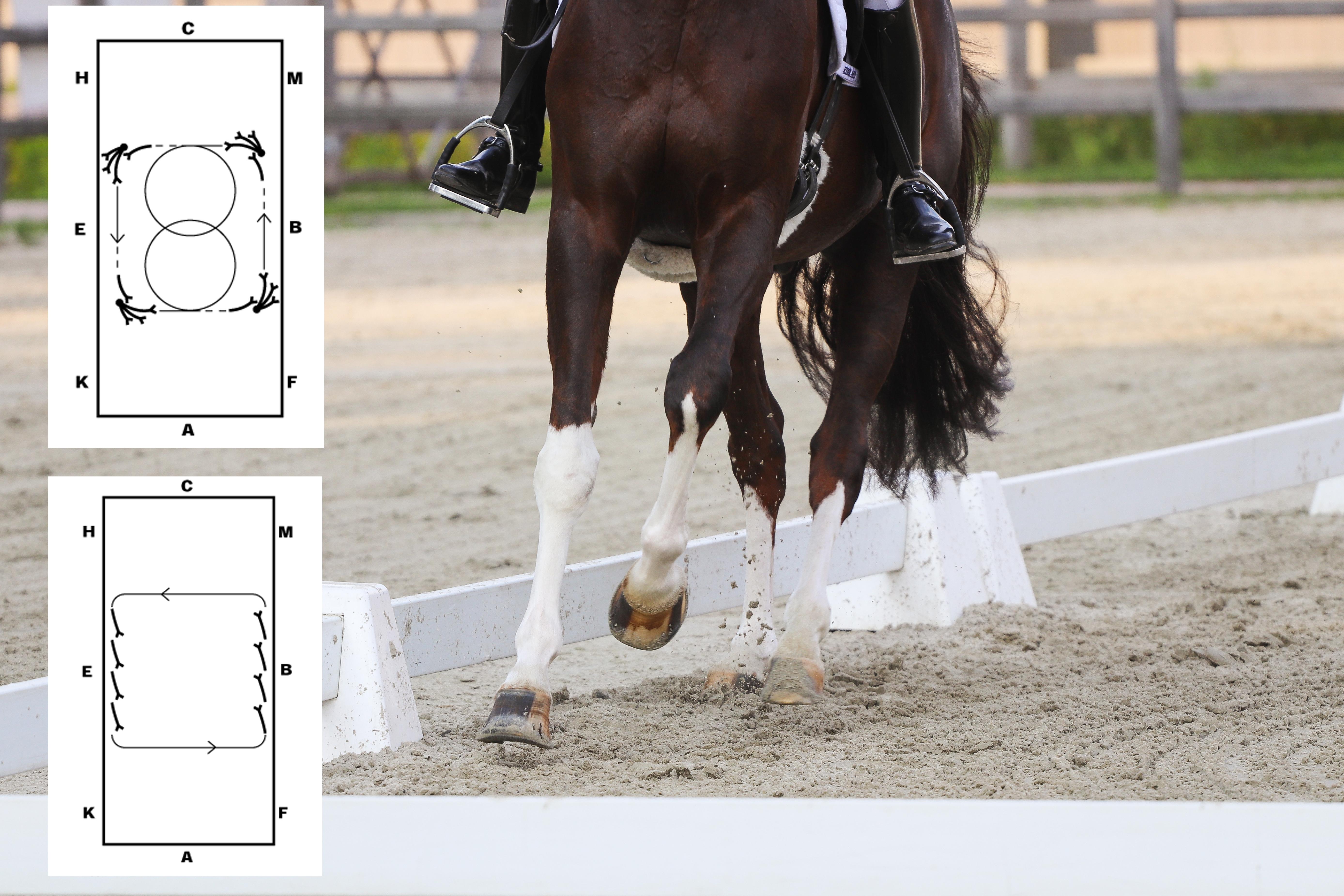 Fyra övningar som hjälper dig hitta ramen i galoppen