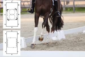 Fyra övningar som hjälper dig hitta ramen i galoppen