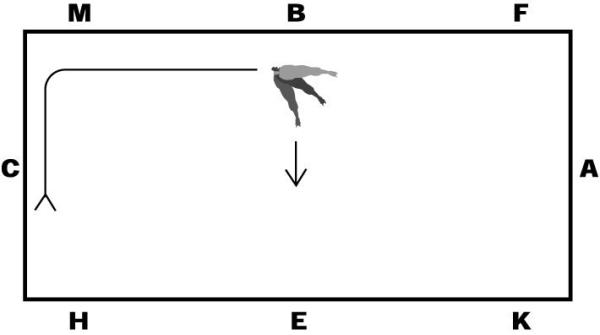 Samla hästen – med galopp ur bakdelsvändning