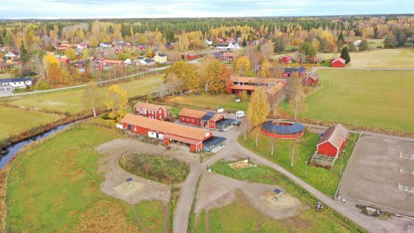 Hästgård med stall, ridbana och motionsslinga