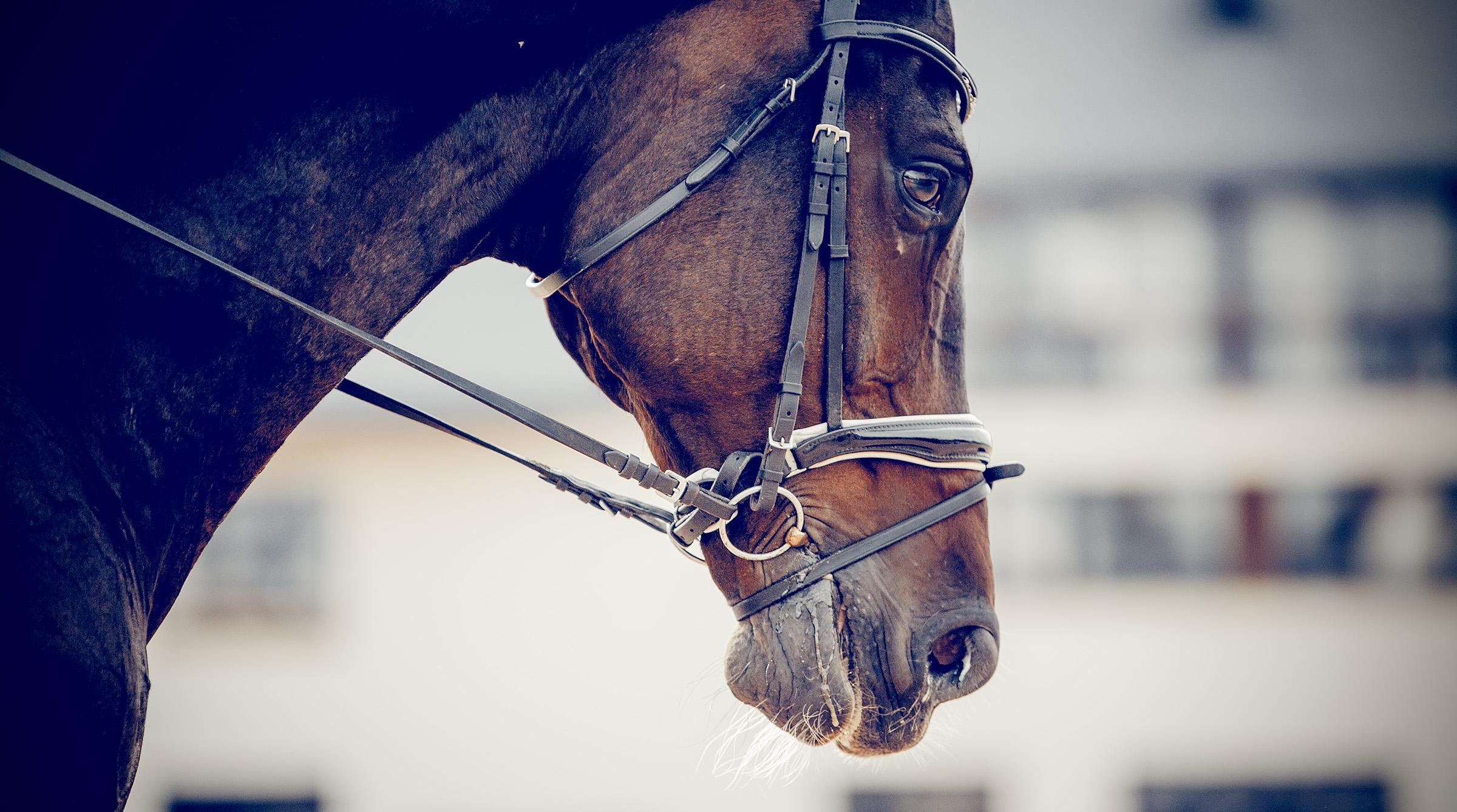 Arkivfoto: Adobe Stock