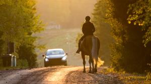 Arkivfoto: Adobe Stock