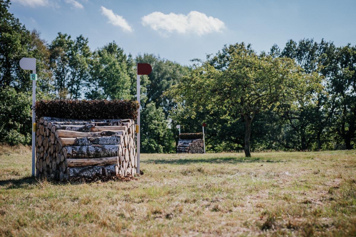 Genrebild: Ida Lindemann