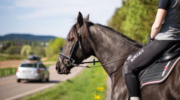 Arkivfoto: Maren G. Kalleberg