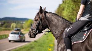 Arkivfoto: Maren G. Kalleberg