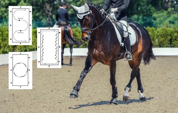 Övningar som stärker hästen och förbättrar formen