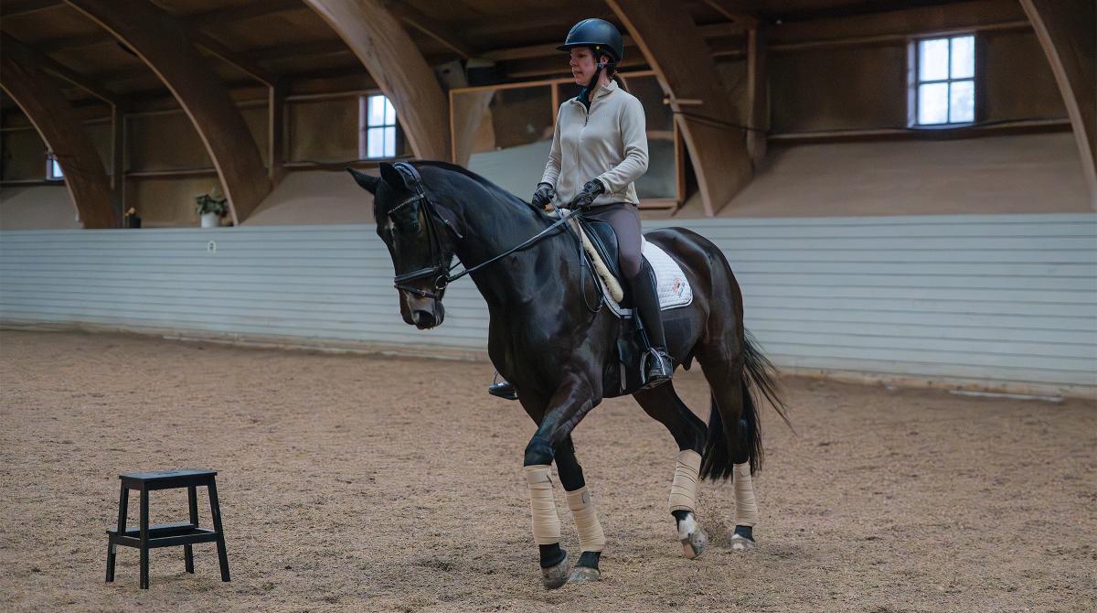 Sidvärts ger avspända hästar 