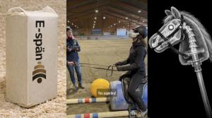 April, april – här är årets hästiga skämt