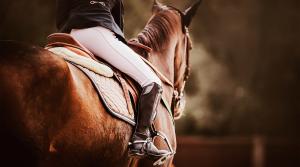 Arkivfoto: Adobe Stock