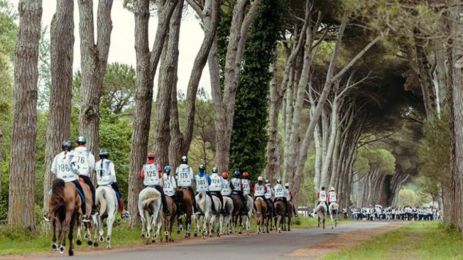 Bild från Distans-VM i Pisa, Italien, 2021. Tidigt i loppet och i vacker natur. Foto: FEI/Christophe Taniere