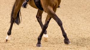 Arkivfoto: Adobe Stock