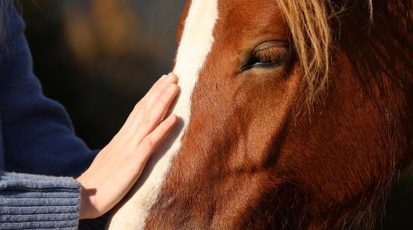 Arkivfoto: Adobe Stock