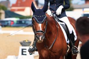 Arkivbild: Adobe Stock