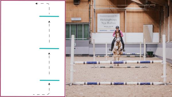Foto: Ida Lindemann, grafik: Clara Wallin