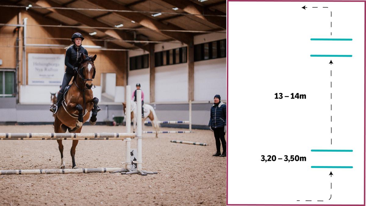 Känn galoppsprången – träna rytm och språnglängd