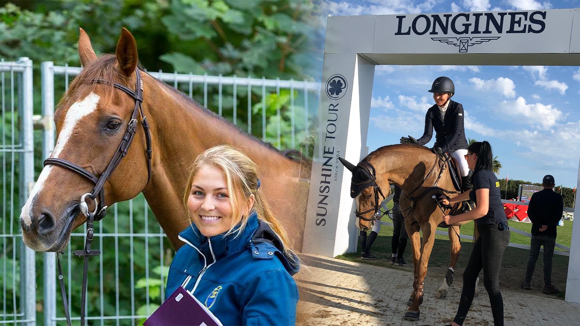 Charmonix CC är en av de viktigaste hästarna i Sissela Smiths karriär. Foto: Privat