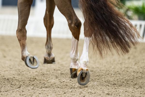 Genrebild: Mathias Bergeld/Bildbyrån