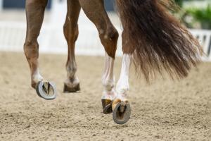 Genrebild: Mathias Bergeld/Bildbyrån