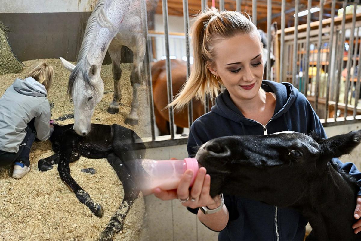 Foto: Olav Svaland, Tvedestrandposten / Privat