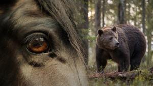 Genrebilder: Adobe stock