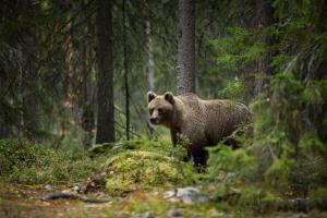 Genrebild: Adobe stock