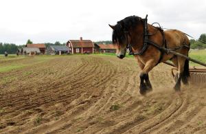 Arkivfoto: Adobe Stock