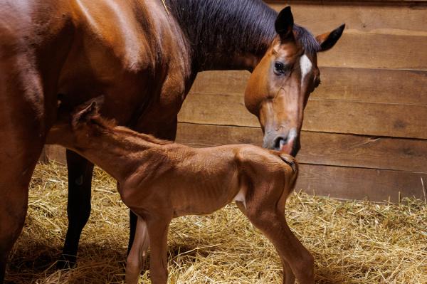 Arkivbild: Adobe Stock