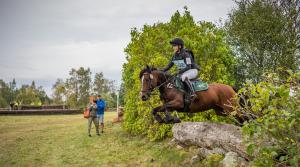 Arkivfoto: Petter Arvidsson/Bildbyrån