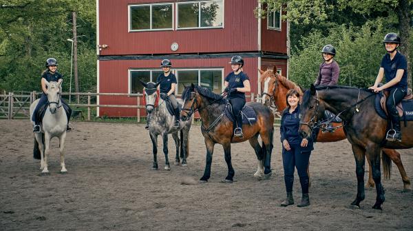 Att köpa ridskolehästar handlar inte bara om pris – utan om att hitta individer som kan fungera i verksamheten under många år. Foto: Sara Rahbek