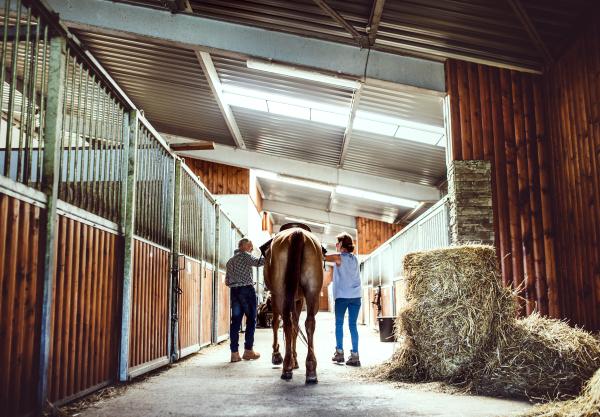 Foto: Adobe stock