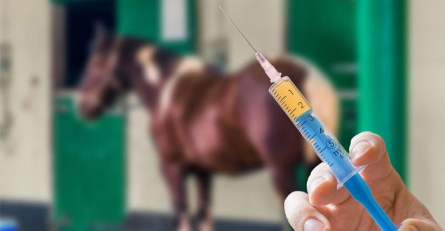 Arkivfoto: Adobe Stock