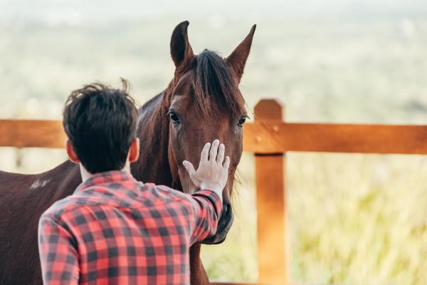 Arkivbild: Adobe Stock