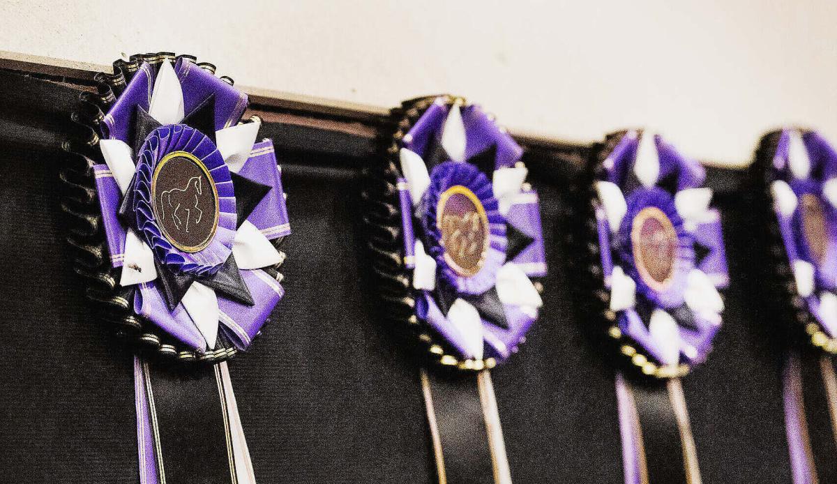 Pressfoto: DressagePower