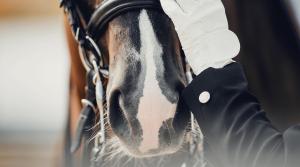 Arkivfoto: Adobe Stock