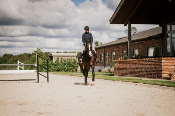 Erika Lickhammer-Van Helmond med den lovande valacken Zantander VHL på ridbanan hemma i Asten. Foto: Ida Lindemann