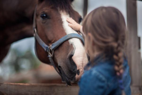 Arkivfoto: Adobe Stock
