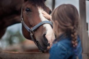 Arkivfoto: Adobe Stock