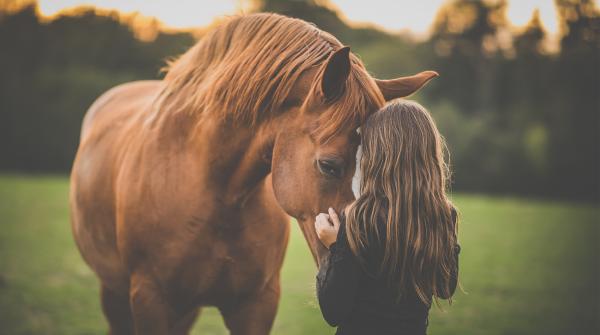 Arkivfoto: Adobe Stock