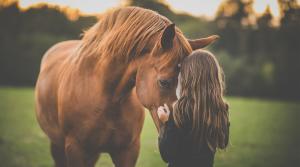 Arkivfoto: Adobe Stock