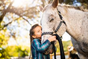 Arkivfoto: Adobe Stock
