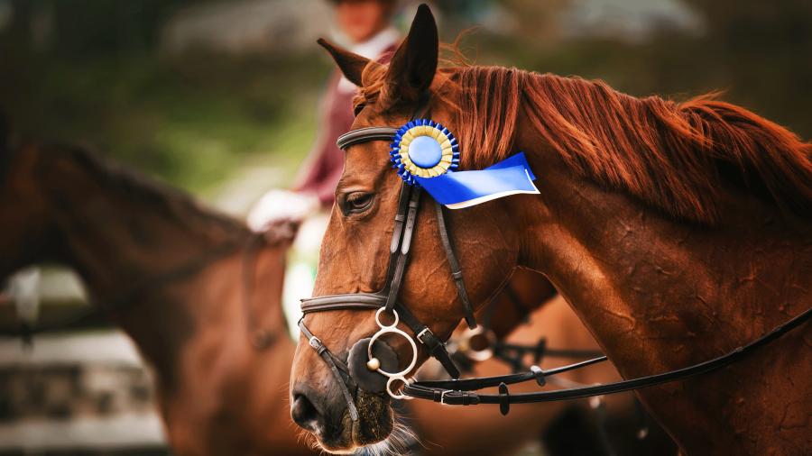 Bäst när det gäller