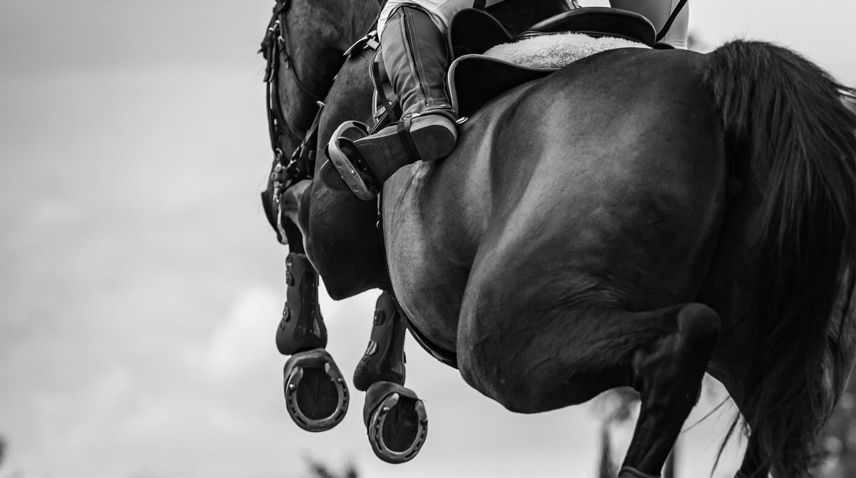 Arkivfoto: Adobe Stock