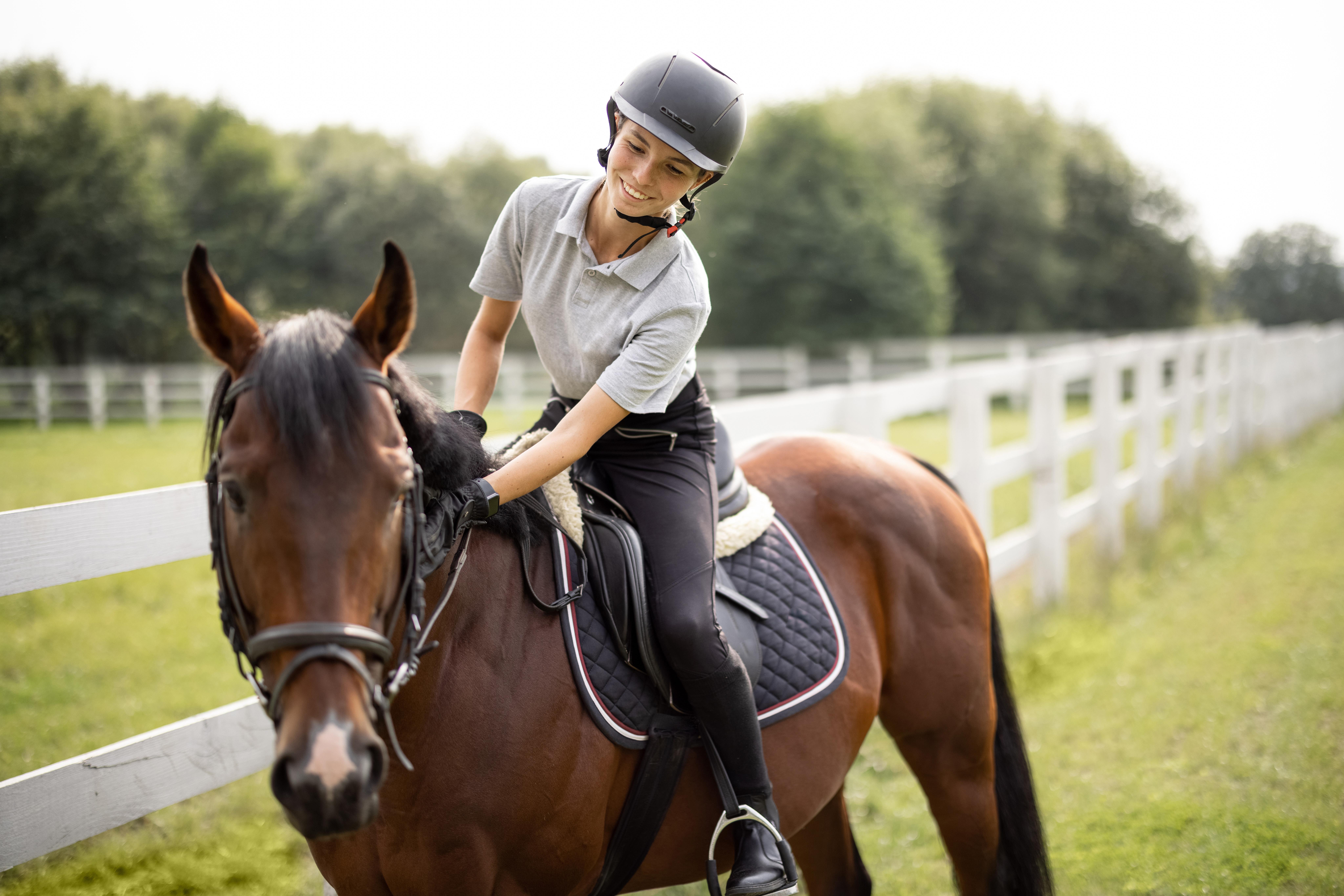 Foto: Adobe Stock